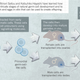 Illustration for article titled New research suggests women can make sperm, and men can make eggs